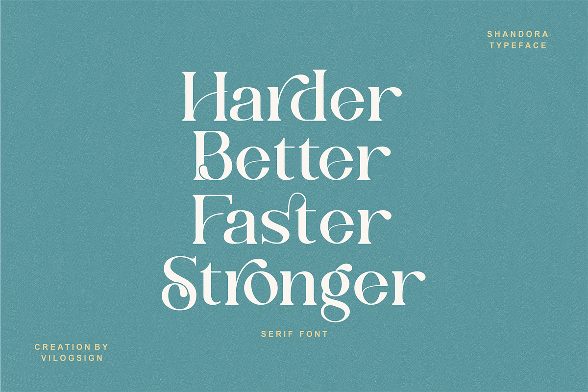 Shandora a Modern Serif Font, a Serif Font by Vilogsign (Photo 2 of 15)
