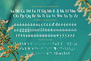 Dudga Baloval Elegant Serif Font, a Serif Font by timelesstype.co (Thumbnail 18 of 20)