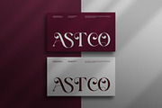 Vascor || Modern Elegant Serif Font, a Serif Font by Ermedia Studio (Thumbnail 4 of 10)