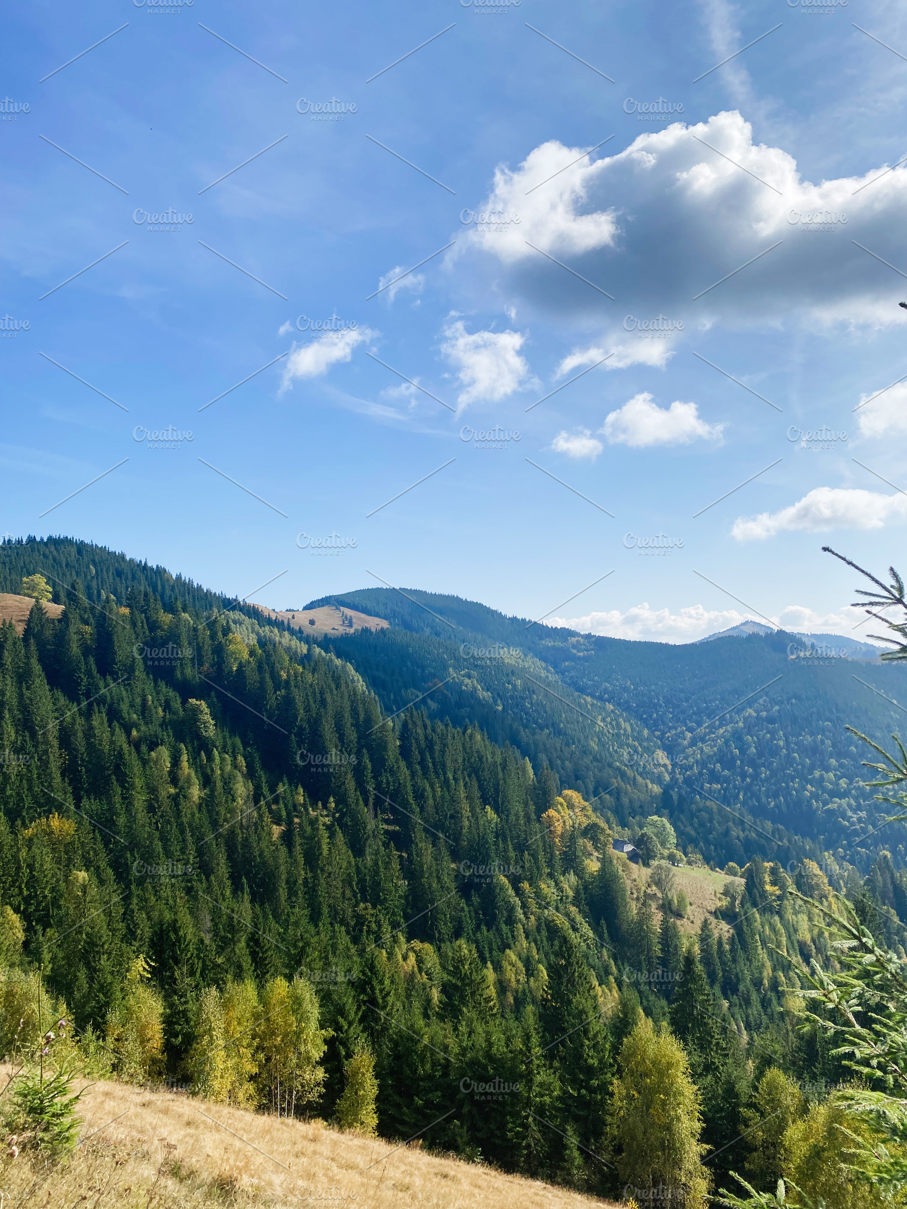 Scenic view of lush green mountains under a vibrant blue sky. Carpathian mounta, a Photo by AS photostudio