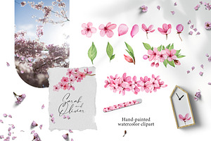 Cherry Blossom Watercolor Clipart