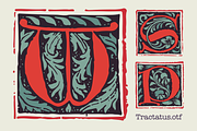 Tractatus Medieval initials font, a Blackletter Font by kaer_shop (Thumbnail 1 of 9)