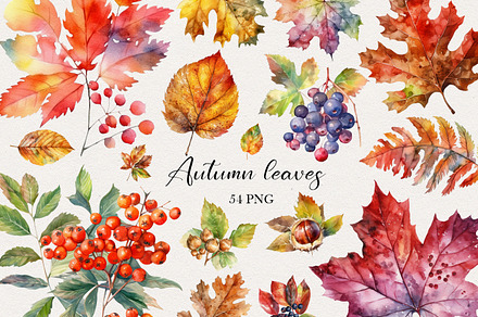 Autumn Leaves Clipart. AI, a Seasonal Illustration by BonbonnyDesigns