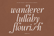 Aveline, Soft Serif with Ligatures, a Serif Font by CarmineType (Thumbnail 2 of 28)