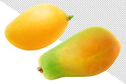 Tropical fruits, an Object Graphic by Fruits+Veggies (Thumbnail 3 of 7)