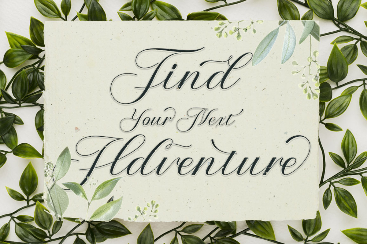 Palengue Script, a Script Font by Strong.co (Photo 6 of 7)