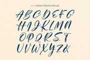 Inky Lettering Procreate Brush Set, a Brush Add-On by Molly Suber Thorpe (Thumbnail 9 of 14)