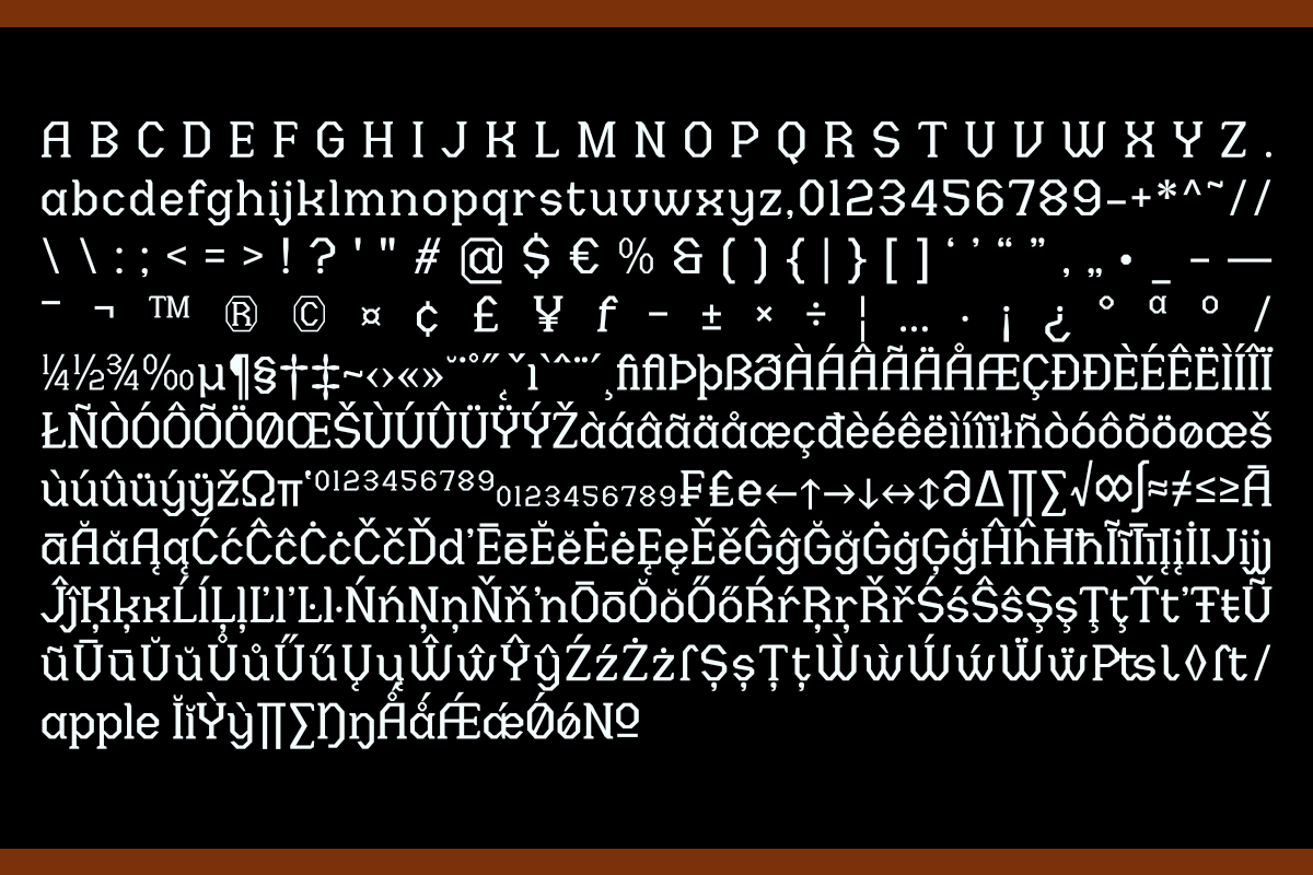 Menenga - Display Family, a Serif Font by Differentialtype (Photo 11 of 11)