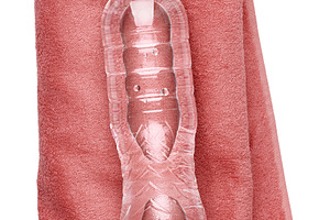 A clear plastic water bottle lies vertically on a folded pink te, a Food & Drink Photo by ndanko