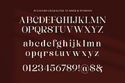 Dashling - Bold Modern Stylish Serif, a Serif Font by Shakira Studio (Thumbnail 10 of 10)