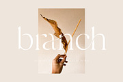 Branch - Modern Ligature Serif, a Serif Font by Sans & Sons (Thumbnail 1 of 11)