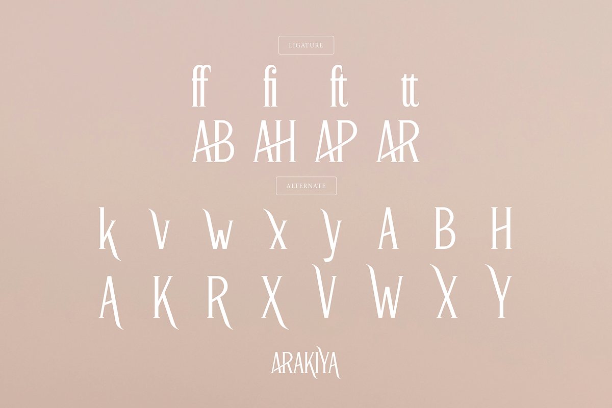 Arakiya | Unique Condensed Serif, a Serif Font by Denustudios (Photo 15 of 15)