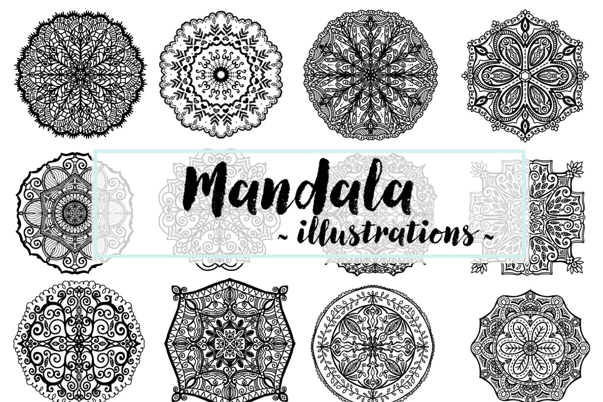 Vector Graphics Bundle, an Animal Illustration by Carrie Stephens Art (Photo 32 of 43)