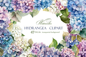 Hydrangea clipart, blue watercolor