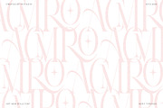 Aroney Family | 5 Style Fonts, a Serif Font by IM Studio (Thumbnail 3 of 12)