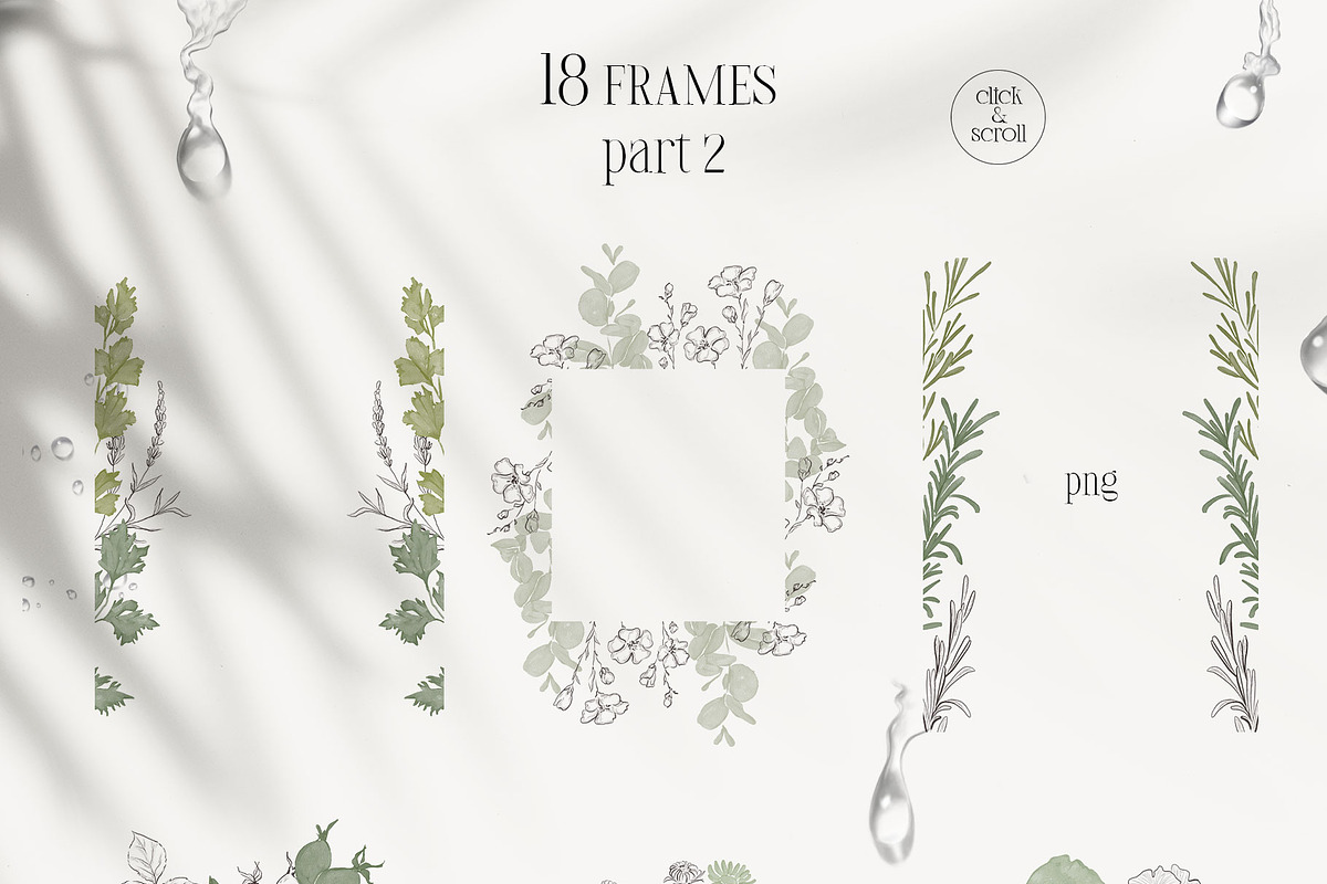 PLANTS & HERBS illustrations set, a Healthcare Illustration by Yuliia Lashevska (Photo 11 of 14)