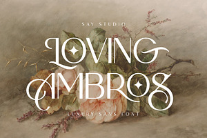 Loving Ambros, a Sans Serif Font by Say Studio