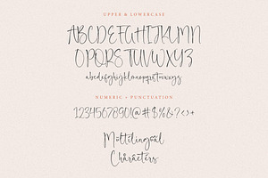 Royals Boutique Font