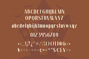 Withcher Beauty | Ligature Sans, a Sans Serif Font by Almeera Std (Thumbnail 3 of 9)