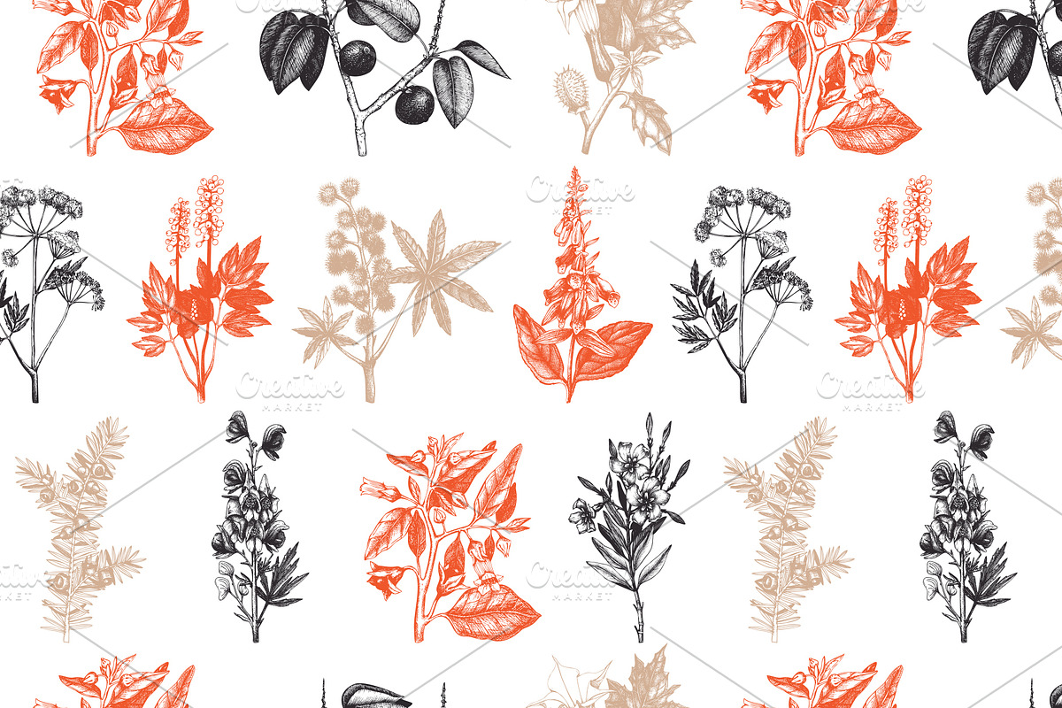 10 Most Poisonous Plants. Vector set, a Healthcare Illustration by Yevheniia (Photo 7 of 8)