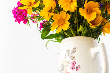 Beautiful summer flowers, a Nature Photo by Pandateam