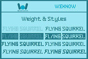Flying Squirrel font, a Font by weknow (Thumbnail 7 of 8)