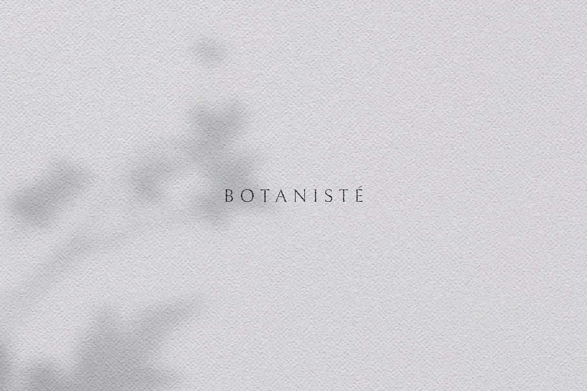 Branding Kit, a Branding & Logo Template by The Denizen Co. (Photo 9 of 9)