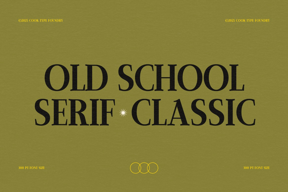 Cloofer, a Serif Font by graphicook (Photo 2 of 10)