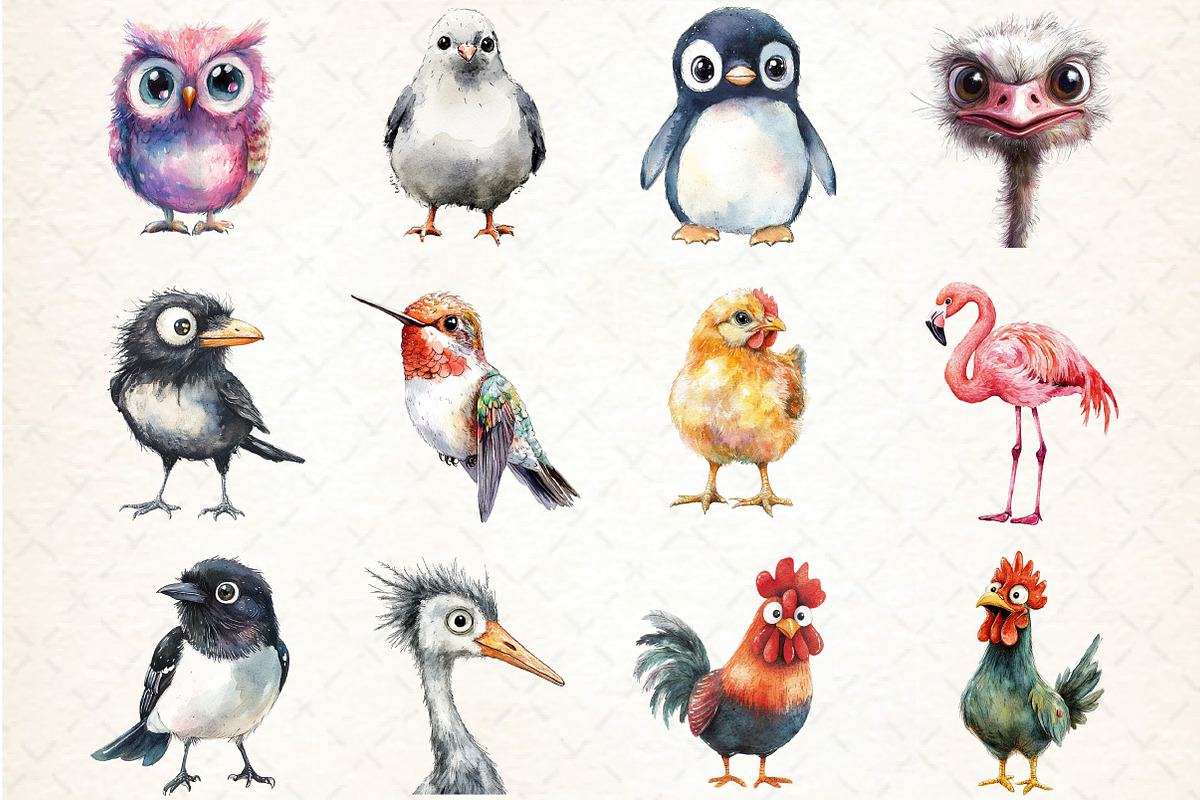 Funny bird Clipart Bundle, an Illustration by DreamCafeArt (Photo 4 of 5)
