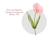 Watercolor Tulips Clipart, a Decorative Illustration by ArtGiftsStudio (Thumbnail 6 of 6)