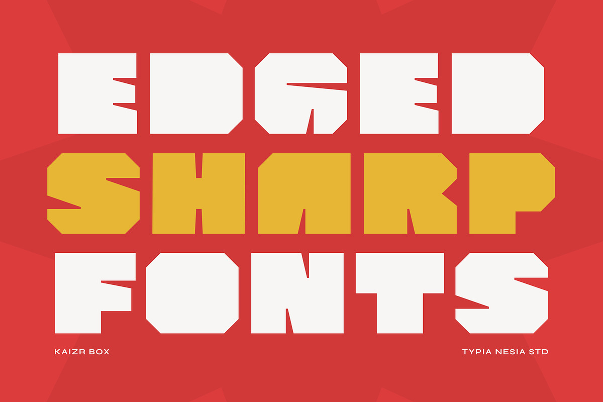 Kaizr Box -  Modern Bold Boxy Logo, a Sans Serif Font by Typia Nesia (Photo 4 of 12)