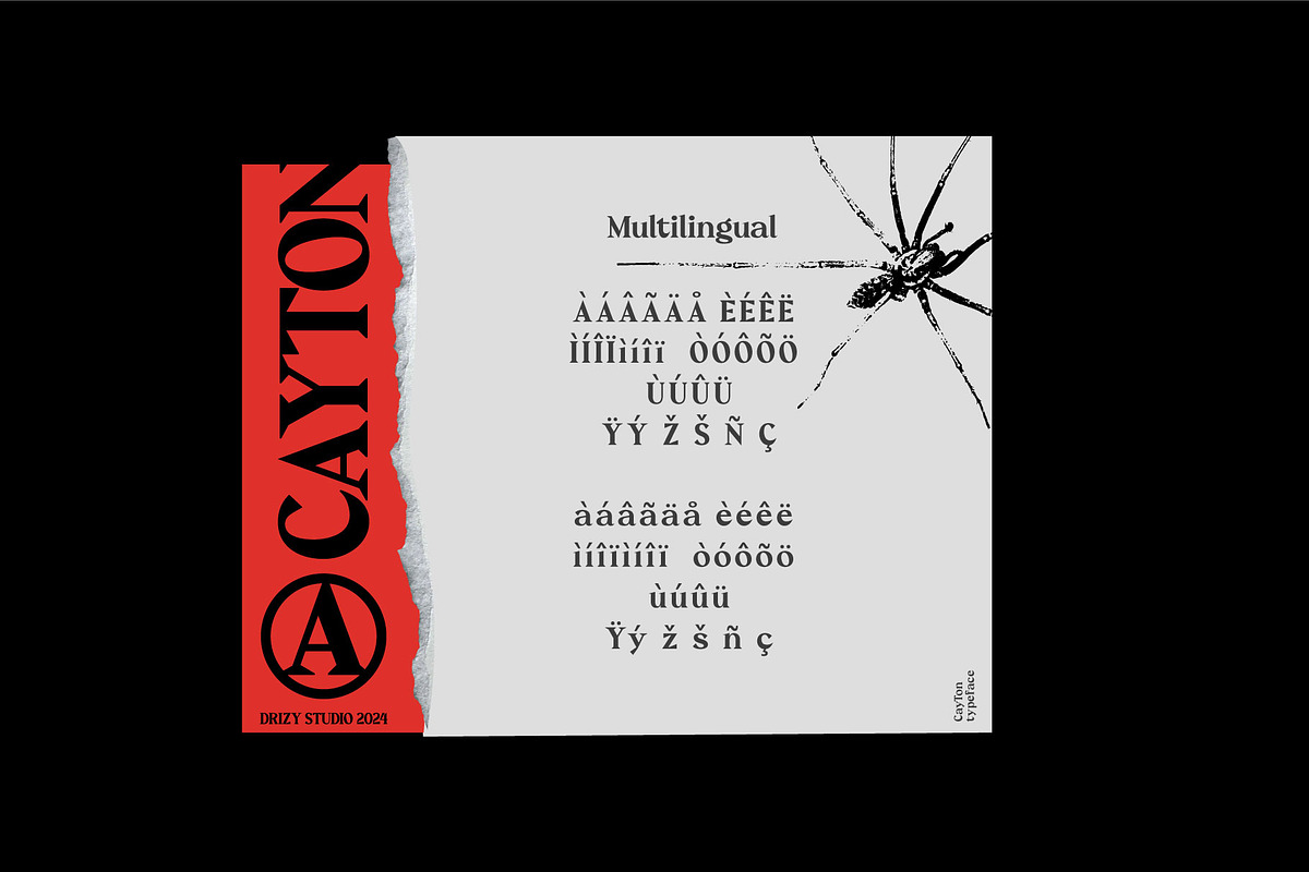 Cayton - Vintage Sharp Serif Font, a Serif Font by Drizy (Photo 4 of 9)