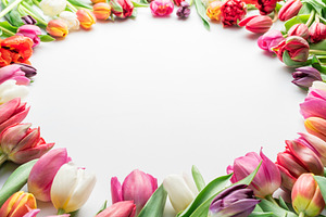 Colorful bouquet of tulips on white, a Holiday Photo by Volff