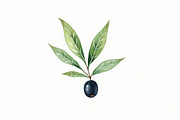 Olive Oil Watercolor Clipart Bundle, an Illustration by BIPLOB EXPERT (Thumbnail 6 of 13)