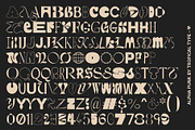 Alpha Punk - Mix and Match Font, a Blackletter Font by Tropical Type (Thumbnail 10 of 11)