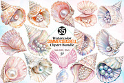 Watercolor Summer Seashell Clipart, an Illustration by Canvas Craft (Thumbnail 1 of 4)