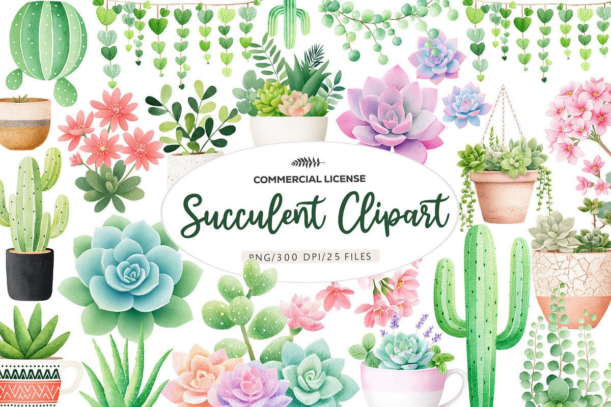 Watercolor Succulent Clipart, an Illustration by CreationArt (Photo 1 of 5)