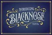 Blacknose - Vintage Inspired, a Serif Font by Arterfak Project (Thumbnail 1 of 11)