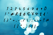 Nerissa font, a Script Font by TNE Designs (Thumbnail 3 of 3)