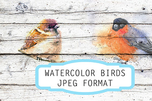 Watercolor illustration with bird