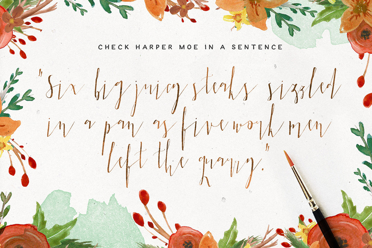 Harper Moe Script preview 7