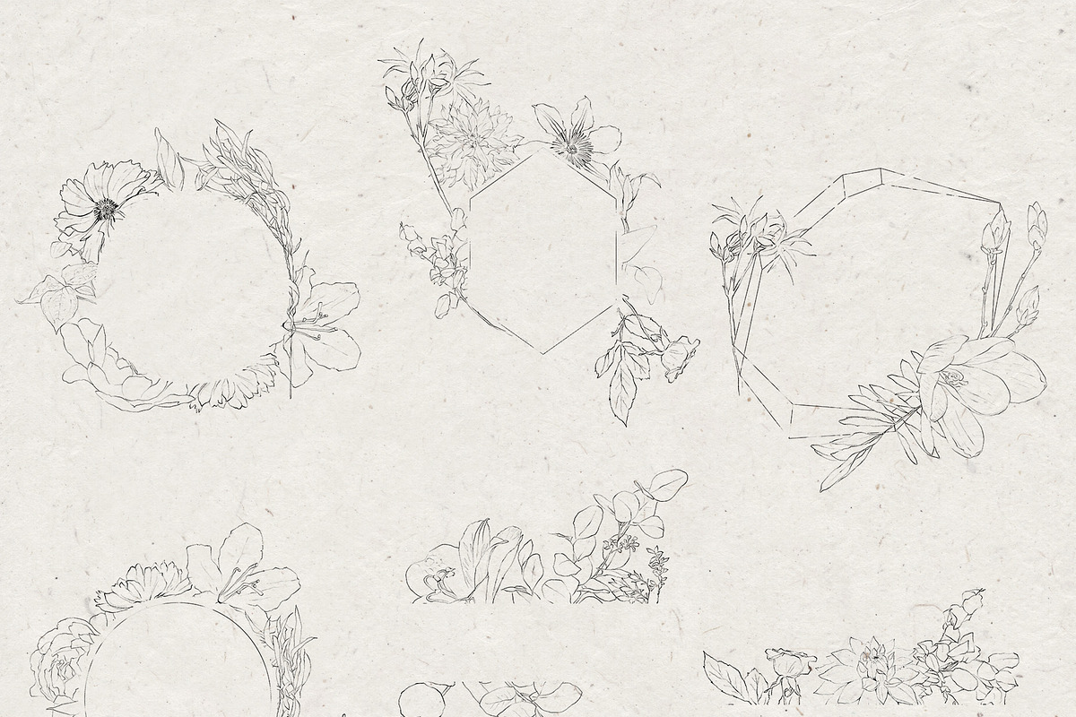 Pencil-drawn flowers, a Decorative Illustration by Damian Roh (Photo 13 of 21)