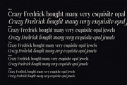 Licking Nineties Serif, a Serif Font by Designsation (Thumbnail 8 of 10)