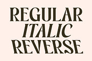 CS Susan – Classic Serif Font, a Serif Font by Craft Supply Co. (Thumbnail 5 of 8)