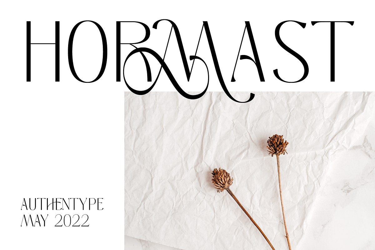 Melgis - Beauty Line & Simple Font, a Sans Serif Font by AuthenType (Photo 6 of 15)