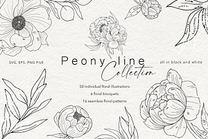 Peony Line Illustration - Flower Art