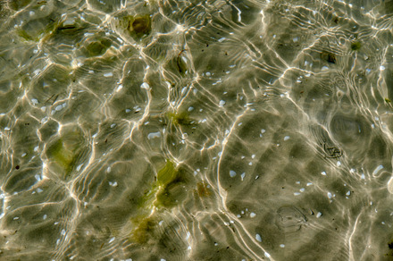 Background, a Photo by Peopleimages.com