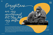The Philosopher Script Monoline, a Script Font by Colllab Studio (Thumbnail 8 of 18)