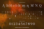 Belmora Elegant Luxury Serif Font, a Serif Font by Rasio Studio (Thumbnail 3 of 10)