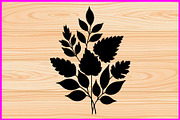 25 Botanical Leaf Silhouette Bundle, a Decorative Illustration by Artivon (Thumbnail 4 of 4)